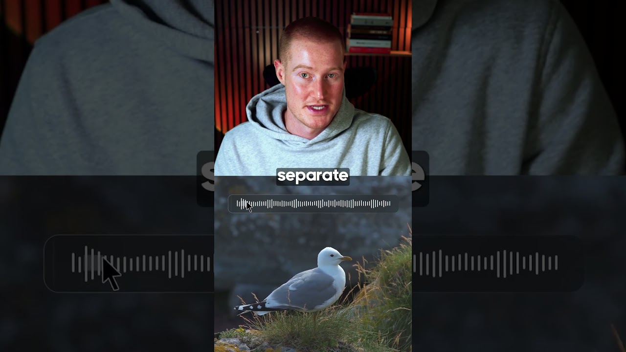 How to Separate Any Sound From Videos with AI (Meta SAM Audio)