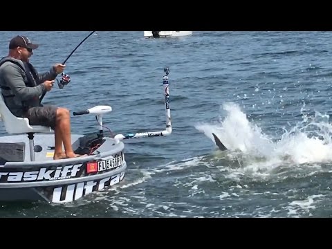 Top New Fishing Video + Must See Amazing Bonita Fish Challenge -#
