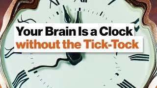 How Your Amazing Brain Tells Time: Circadian Watch, Pattern Pendulum, & Tempo Timer | Dean Buonomano