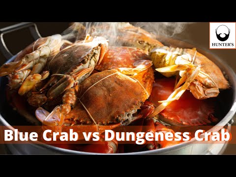 どちらがおいしいですか? - アブラガニ vs ダンジネスクラブ |食べ物ポッドキャスト パート 2