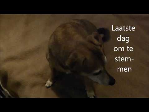 korte samenvatting www.oorlogsdagboek.org