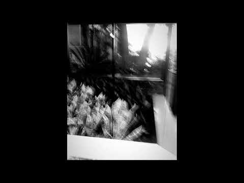 03. Seng° - figif°