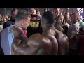 Roelly
