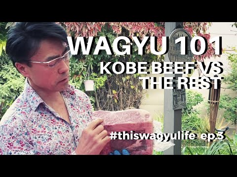 GIÁO DỤC WAGYU 101 | Bò Wagyu Kobe, Bò Wagyu A5 Nhật Bản e Bò Wagyu Úc