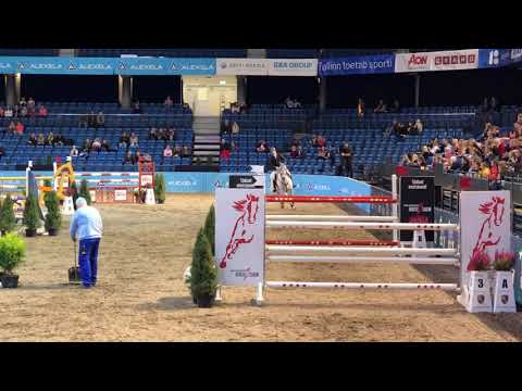 Clair de Lune (Contagio x Graf Sponeck) TIHS 2018 stallion for sale