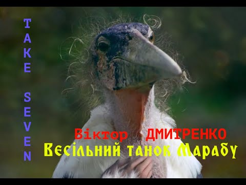 TAKE SEVEN: Музика Віктора Дмитренка -"Весільний танок Марабу" /Music by Viktor Dmytrenko -"Marabou"