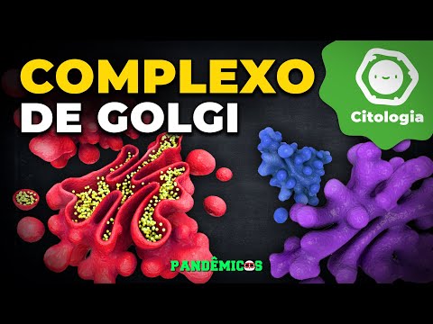 Golgi complex