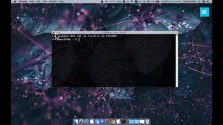 How to switch back to bash in Terminal on macOS Catalina