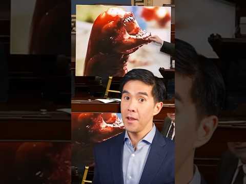 Insane Radioactive Shrimp Update 🍤