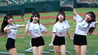 [分享] 誰說台鋼不會晃？