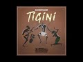 Tigini ( slowed & reverb )