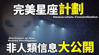 官方竟然「全都承認了」！這是一份最新最震撼的政府秘密計劃：「完美星座計劃（Immaculate Constellation)」（2025）｜【你可敢信 & NicBelieve】