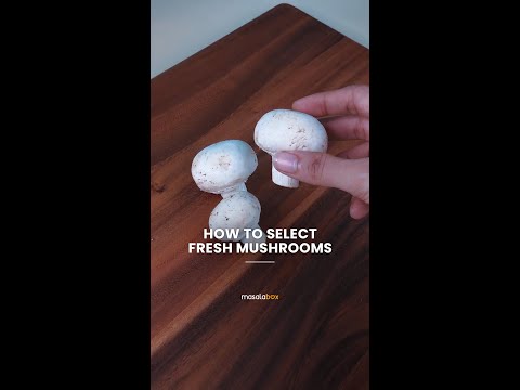 HOW TO SELECT FRESH MUSHROOMS| Mushroom Hack| MasalaBox