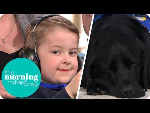 Chester the Dog Encouraged Child With Autism to Talk | This Morning