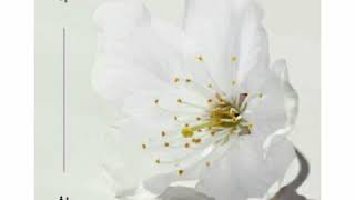 [ Clean Instrumental ] Air ManGirl - 나에게 [ To Me ] [ A Poem A Day OST Part 11 ]