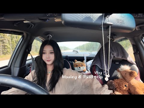 Vlog 36 | 独自跨省搬家2000km | 入住恐怖汽车旅馆 | 自驾Road Trip真实记录 | Moving Day
