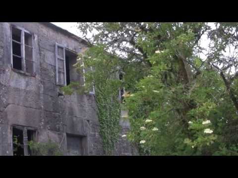 Vídeo: O instante eterno (versión curta)