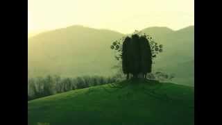 Peter Gabriel  - Into the Sun
