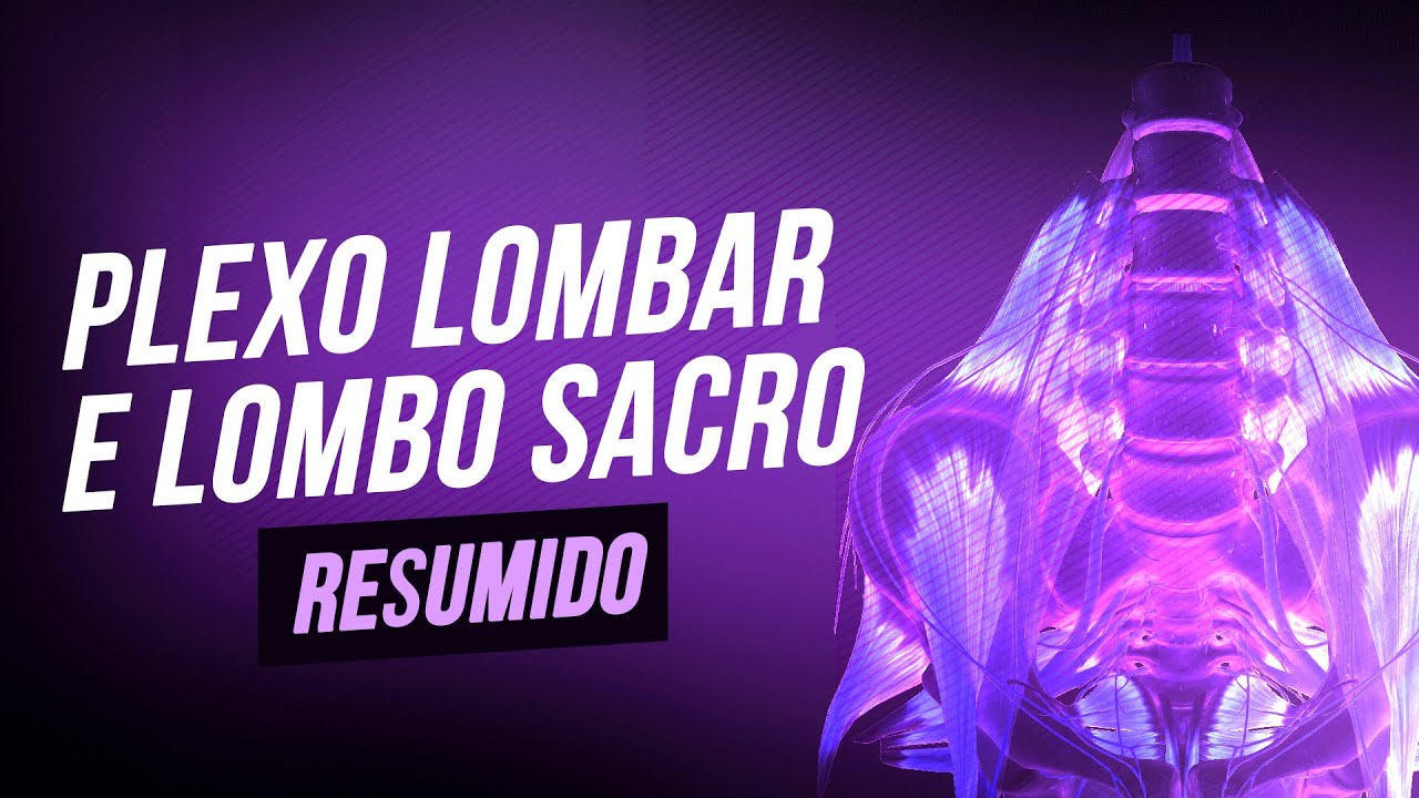 Plexo Lombar e Lombo sacro (resumido) - por Dr. Maicon Oelke