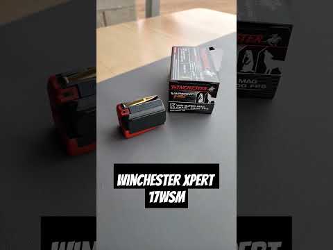 Rifle Scope Mounts Quick Tips