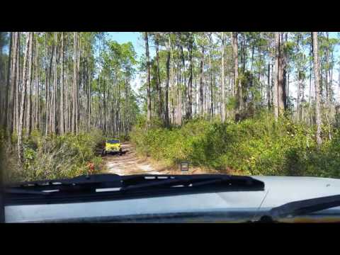 Can't find them...grind them, alternate view