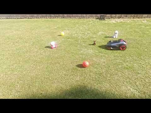 Smart Obstacle Avoidance