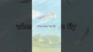 Download lagu Harun Yahya once said... #shorts mp3