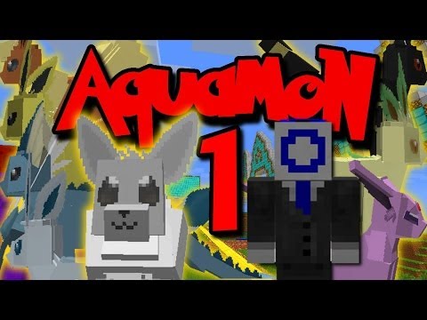 Aquamon Server Ep. 1 - SERVER TOUR AND SHINY EEVEE! (Pixelmon 3.0.2 Server)