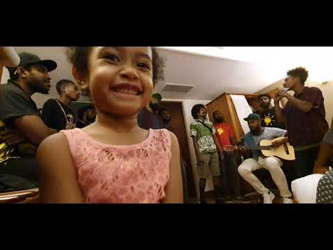 Diari Bloods - Perfect Cover