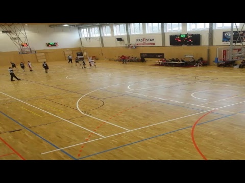 CEYBL, The Final tournament - Vienna D. C. Timberwolves - BK Opava