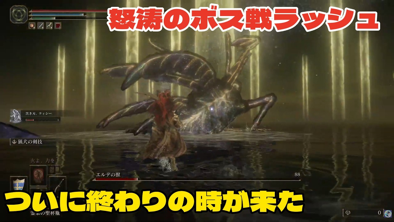 第33回　エルデンリング