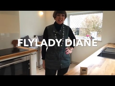 Flylady Diane - Getting started on difficult days (TOTH, Jedi mind trick) Video