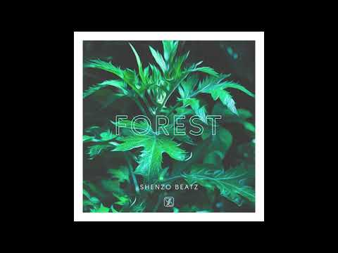 Forest (Official Audio) SHENZO BEATZ