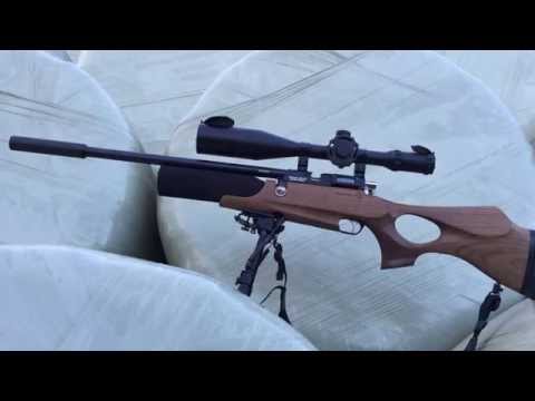 Daystate Air Wolf review