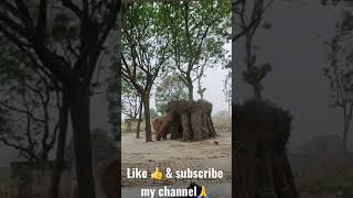 #प्रतापगढ़ में भारी तूफ़ान🌳🌴🌫🌈#pratapgarh #u.p#whatsapp status #shots