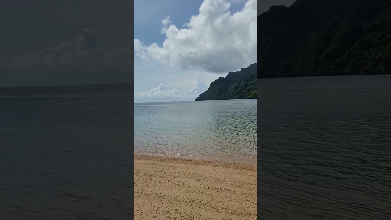 YouTube Short thumbnail