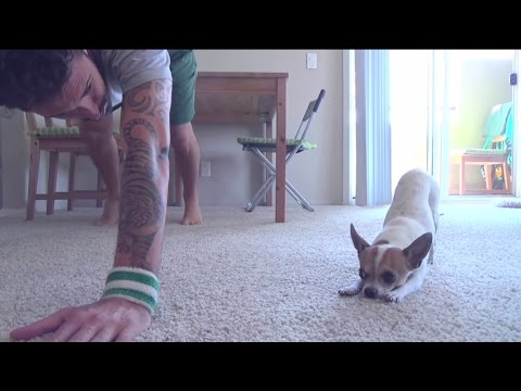 Yoga With His Dog