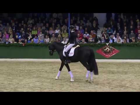 Dancier Gold (DVD 2019)