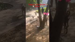 Download lagu #zindagi har kadam#meri Jung movie song#Kapoorsong#1k mp3