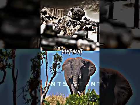 Humans (with gun) vs Animals | #universe#humans#animals#annihilation#easy