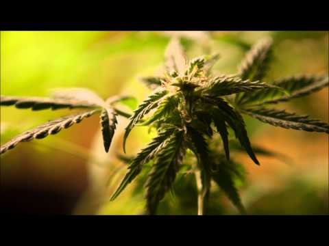 Kosto Mc feat. Drex & Nourhya - Higher (Mai 2012)