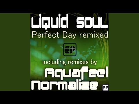 Perfect Day (Aquafeel Remix)