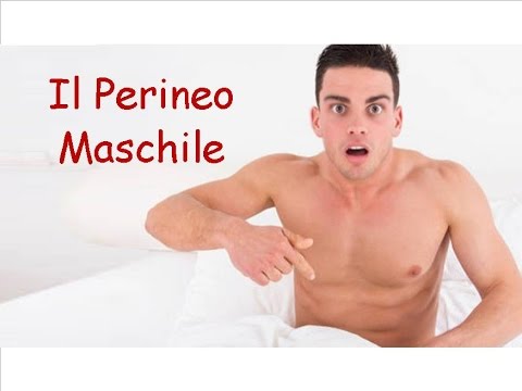 Cibo per gli uomini per aumentare la potenza negli uomini Sesso Femmina patogeno
