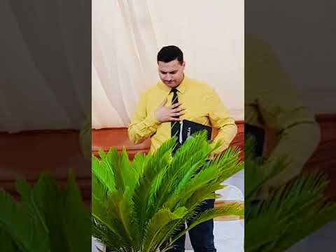 Timotei Floarea - Ce faci cu sufletul tau?