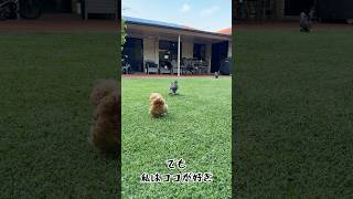 この国がやっぱり好きなんです。