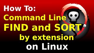 Find and sort files by extension in the Linux command line