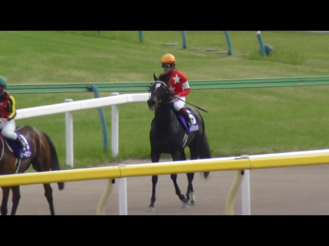 レッドアンシェル　in　 東京競馬場　at 2017.05.07. NHKマイルカップ（ＧⅠ）＃７