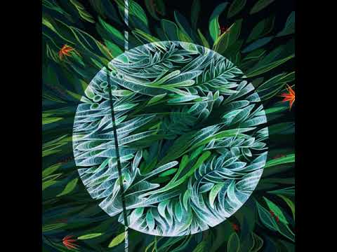 Polygonia - Enigmatic Forest (Delusional Circuits Interpretation)