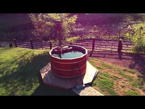 Cabana ViiLa Munte Călimani, una dintre cele mai frumoase cabane din Harghita