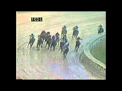 SPECIAL CAPTAIN - Clásico Puerto Rico Futurity 1992